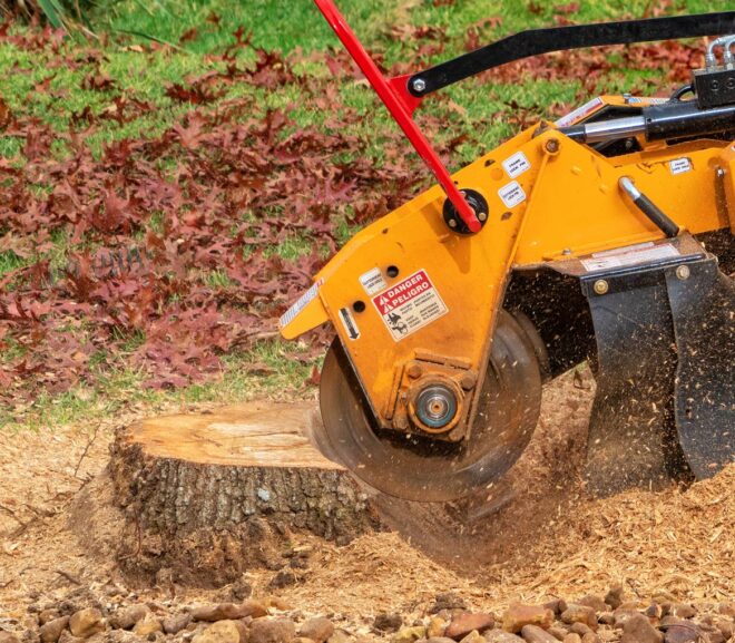 Beyond the Surface: Understanding the Long-Term Advantages of Stump Grinding Services