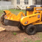 tree root removal