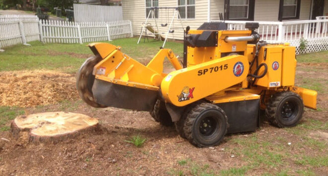 Why Choose Professional Stump Grinding Services in Sydney