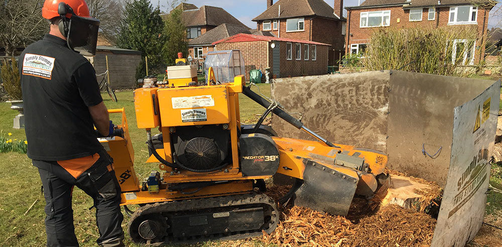 tree root removal