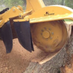 grinding old tree stumps