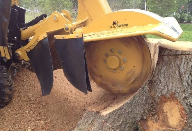 How Much Does Stump Grinding Cost? A Homeowner’s Guide