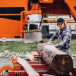 stump grinding vs removal
