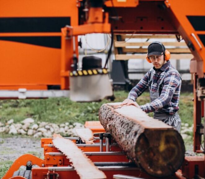 Stump Grinding vs Removal: Which Option Is Best for Your Yard?