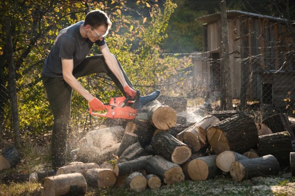 stump grinding vs removal