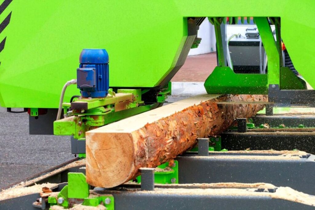 stump grinding vs removal