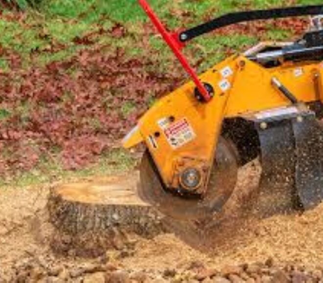 Grinding Large Tree Stumps Safely: Expert Techniques