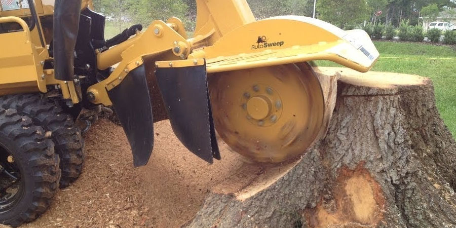 grinding large tree stumps