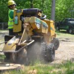 Stump Grinding