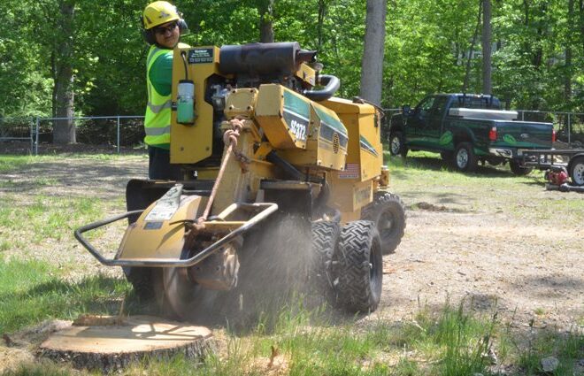 The Benefits of Professional Stump Grinding Services in Sydney