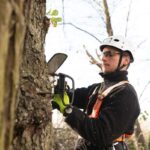 tree loppers near me