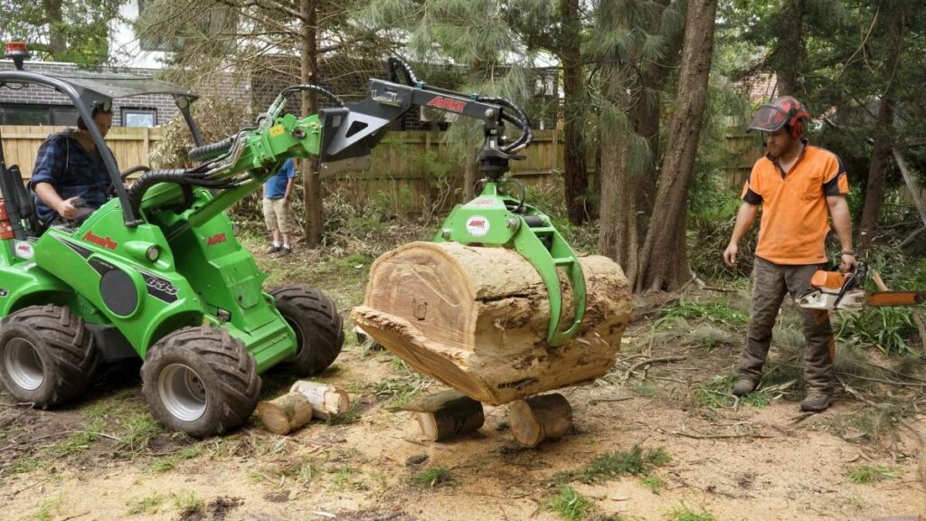 Tree Stump Grinding