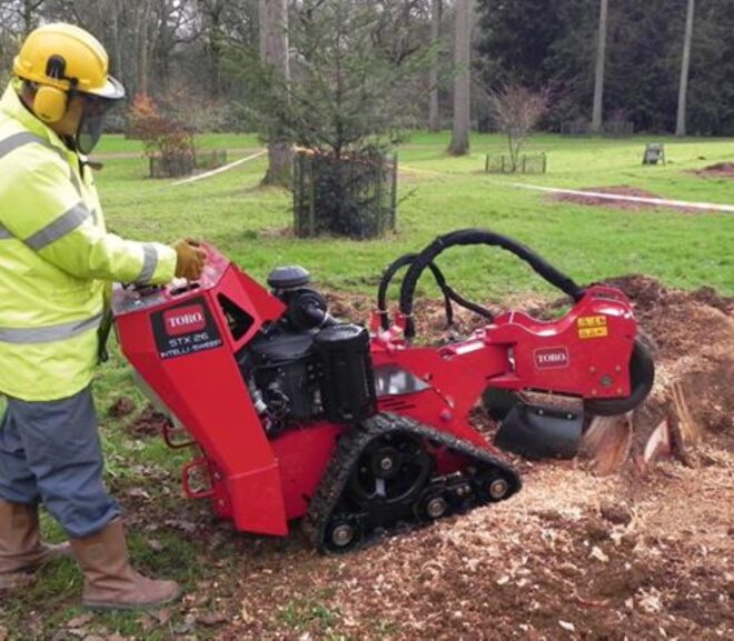 Everything You Need to Know About Tree Stump Grinding