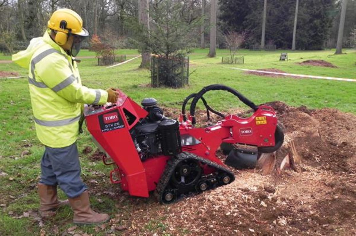 Everything You Need to Know About Tree Stump Grinding