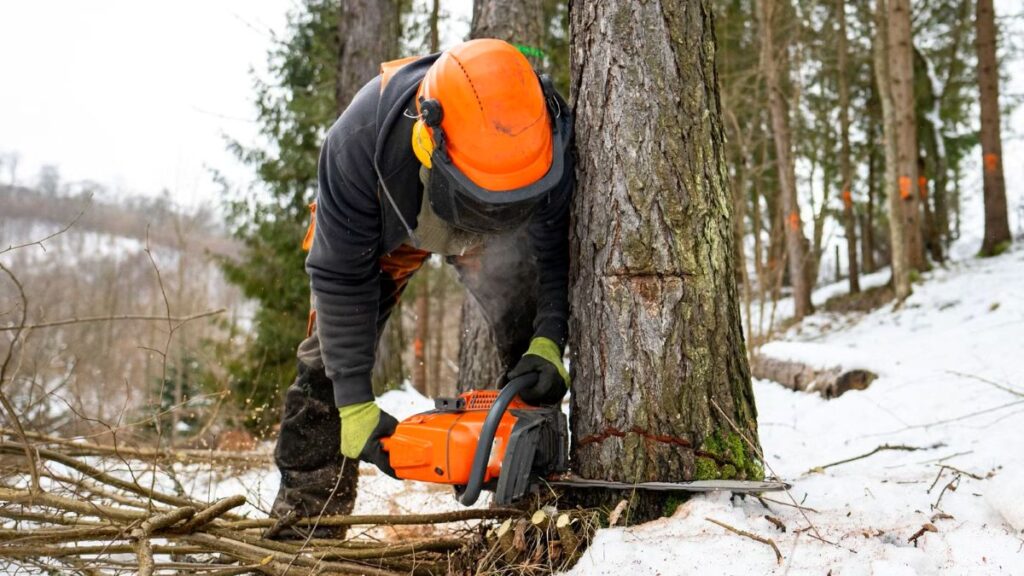 Tree Removal Cost Calculator