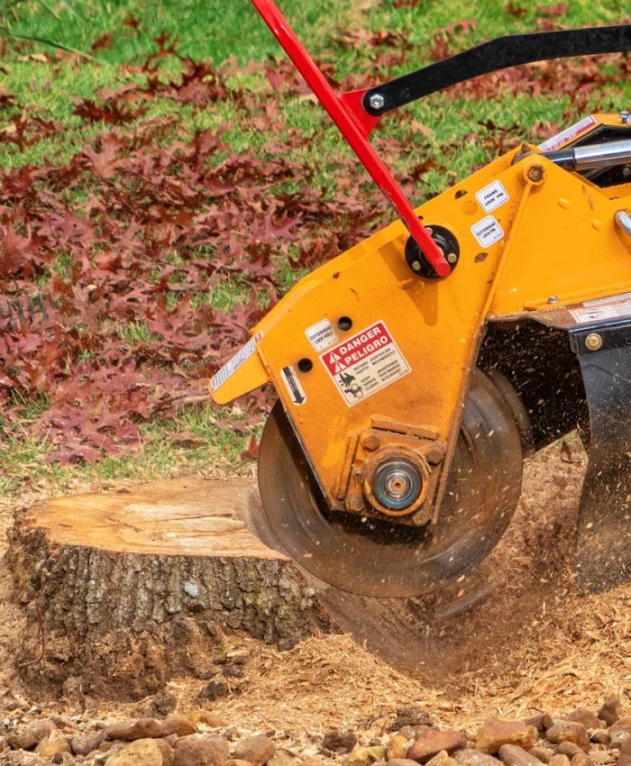 Beyond the Surface: Understanding the Long-Term Advantages of Stump Grinding Services