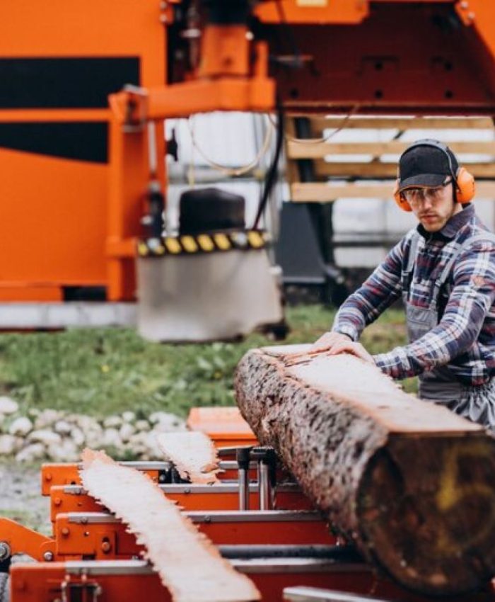 Stump Grinding vs Removal: Which Option Is Best for Your Yard?